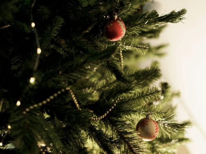 Weihnachtsbäume Warengruppe